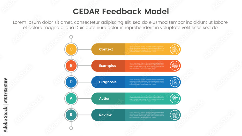 CEDAR feedback model infographic template banner with vertical timeline style with round rectangle shape with 5 point list information for slide presentation CEDAR feedback model infographic template banner with vertical timeline style with round rectangle shape with 5 point list information for slide presentation