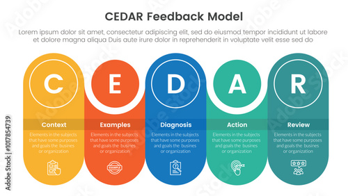 CEDAR feedback model infographic template banner with round rectangle with circle combination timeline with 5 point list information for slide presentation