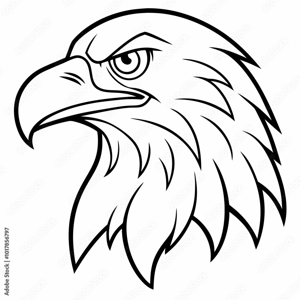 bald eagle head bald eagle head