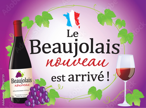 Obraz na płótnie BEAUJOLAIS NOUVEAU - RAISIN ET FEUILLES DE VIGNE 2 w salonie