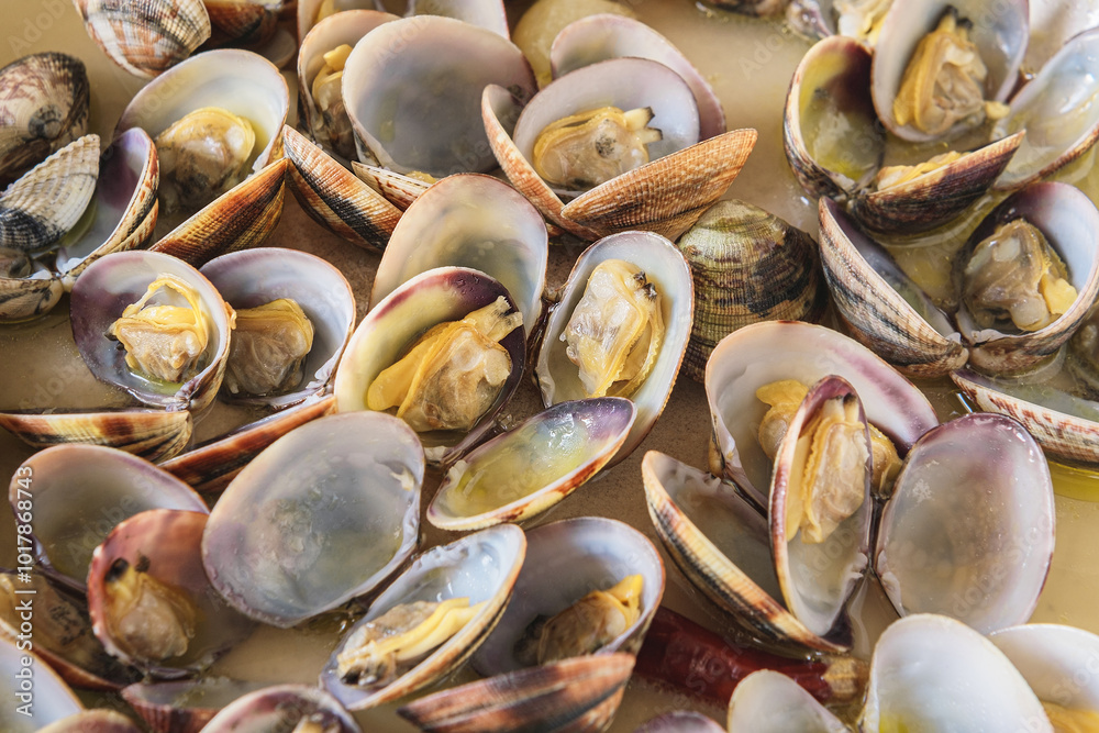 Freshly cooked opened clams shell in a plate. Freshly cooked opened clams shell in a plate.