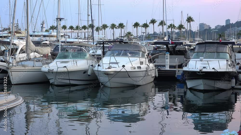 White boats docked in the Port de Golfe-Juan, France in the evening White boats docked in the Port de Golfe-Juan, France in the evening