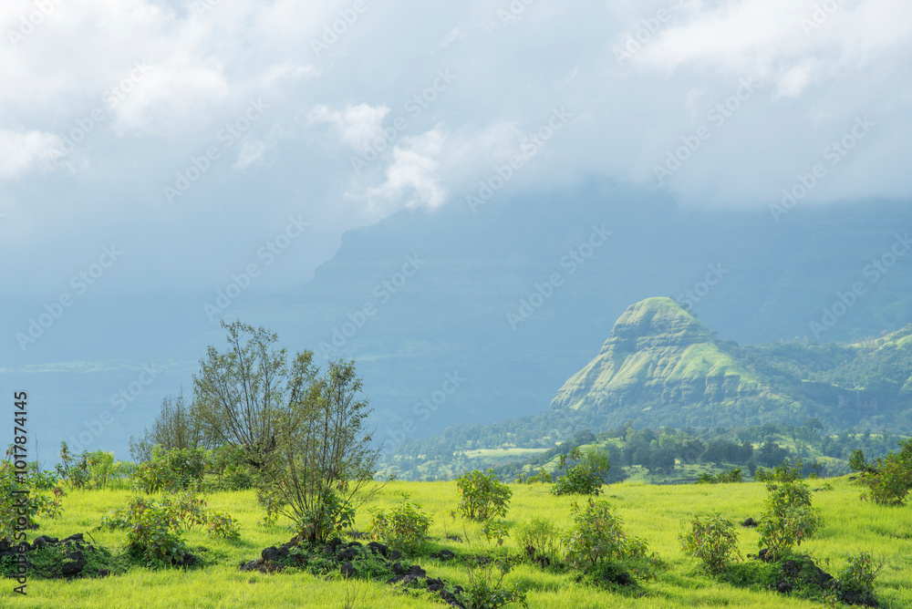 Monsoon landscape, rainy season, Climate change, Amazing Dramatic view, Maharashtra, India. background, cover, poster, wallpaper, soft focus Monsoon landscape, rainy season, Climate change, Amazing Dramatic view, Maharashtra, India. background, cover, poster, wallpaper, soft focus