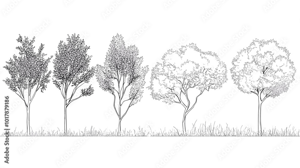 Architectural Drawings, Minimal style cad tree line drawing, Side view, set of graphics trees elements outline symbol for landscape design drawing. Vector illustration