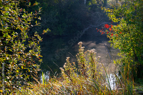 Episy ponds in the French Gâtinais Regional Nature Park  photo