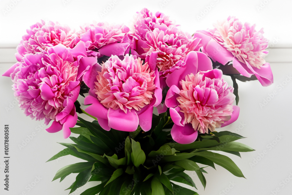 Vase with peonies on white . flower peony nature concept. bouquet of blooming peonies in a vase on a white. a bouquet of pink and white peonies in a lifestyle vase. Vase with peonies on white . flower peony nature concept. bouquet of blooming peonies in a vase on a white. a bouquet of pink and white peonies in a lifestyle vase.