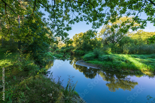 A river with trees on either side