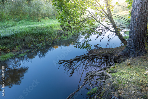 A tree branch is floating in a river