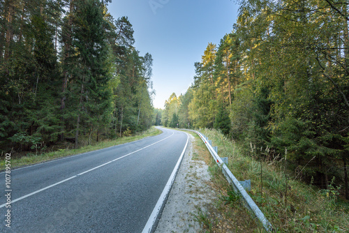 A road with trees on both sides and a clear blue sky