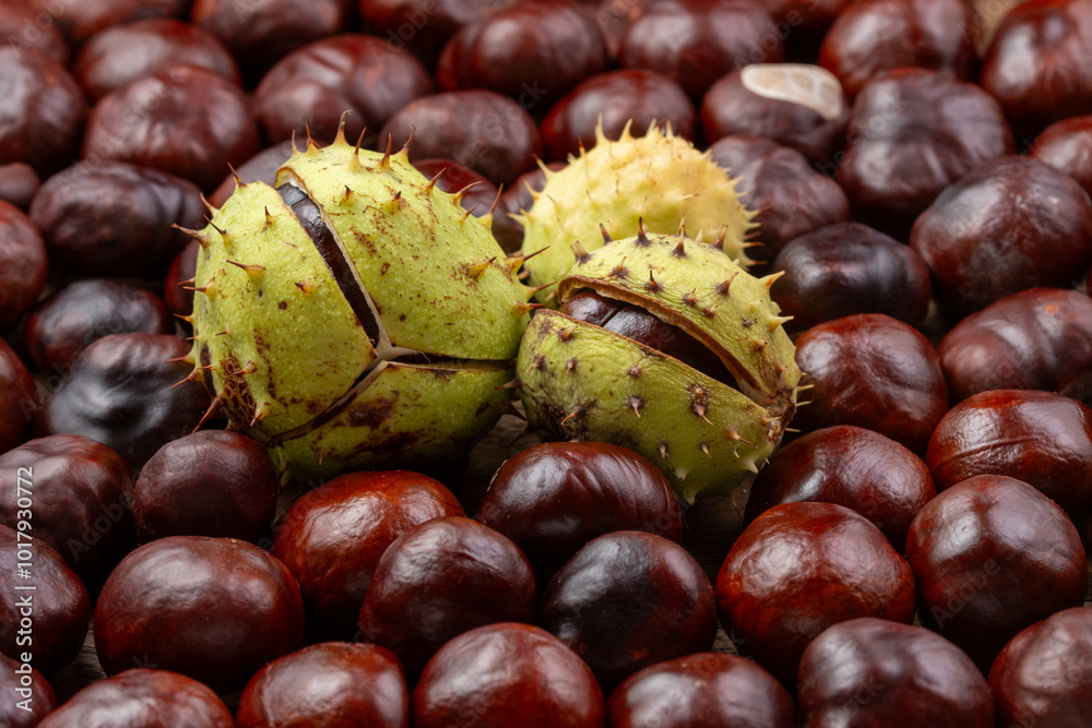 Fresh shiny chestnuts on a wooden table. Close up. Fresh shiny chestnuts on a wooden table. Close up.