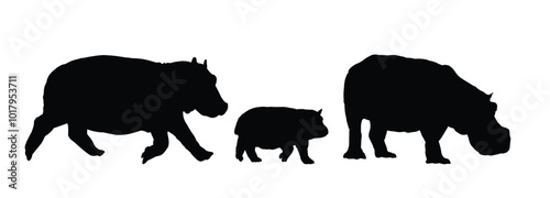 The set silhouette of large hippos.
