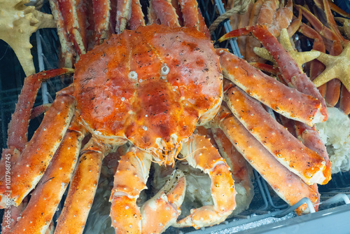 Kamchatka crab in freezer. ...