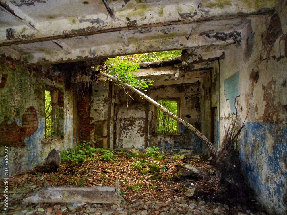 Ruins of an Old Laboratory in an Abandoned Factory Ruins of an Old Laboratory in an Abandoned Factory