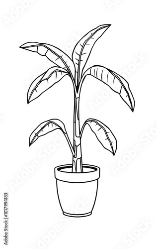 Gambar Ilustrasi pohon pisang sederhana untuk Buku Mewarnai Seni photo