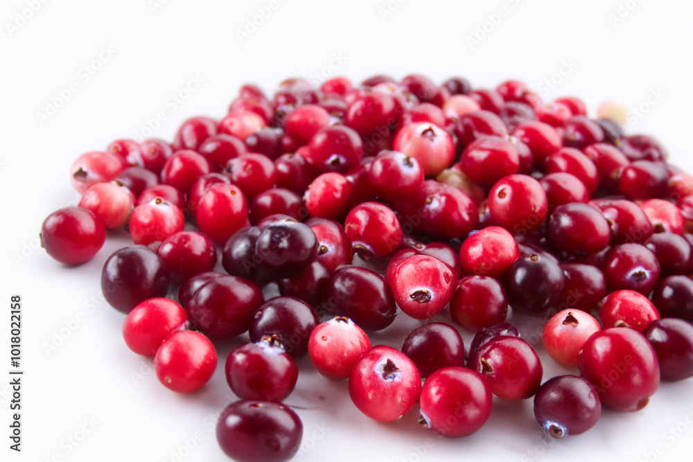 Lingonberry with white berries on a. Cranberry cowberry berry concept. Lingonberries in red on white. Lingonberries in red and white lifestyle on a. Lingonberry with white berries on a. Cranberry cowberry berry concept. Lingonberries in red on white. Lingonberries in red and white lifestyle on a.