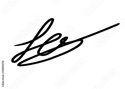 A stylish signature design created with a continuous line