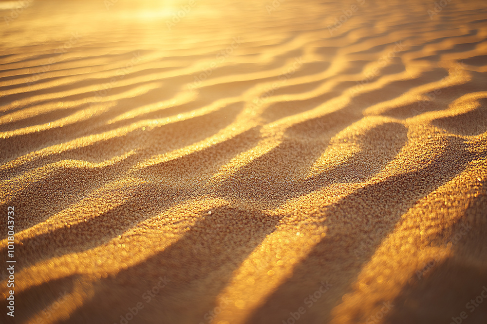 Sunset Over Beach Sand Texture with Natural Ripple Patterns Sunset Over Beach Sand Texture with Natural Ripple Patterns