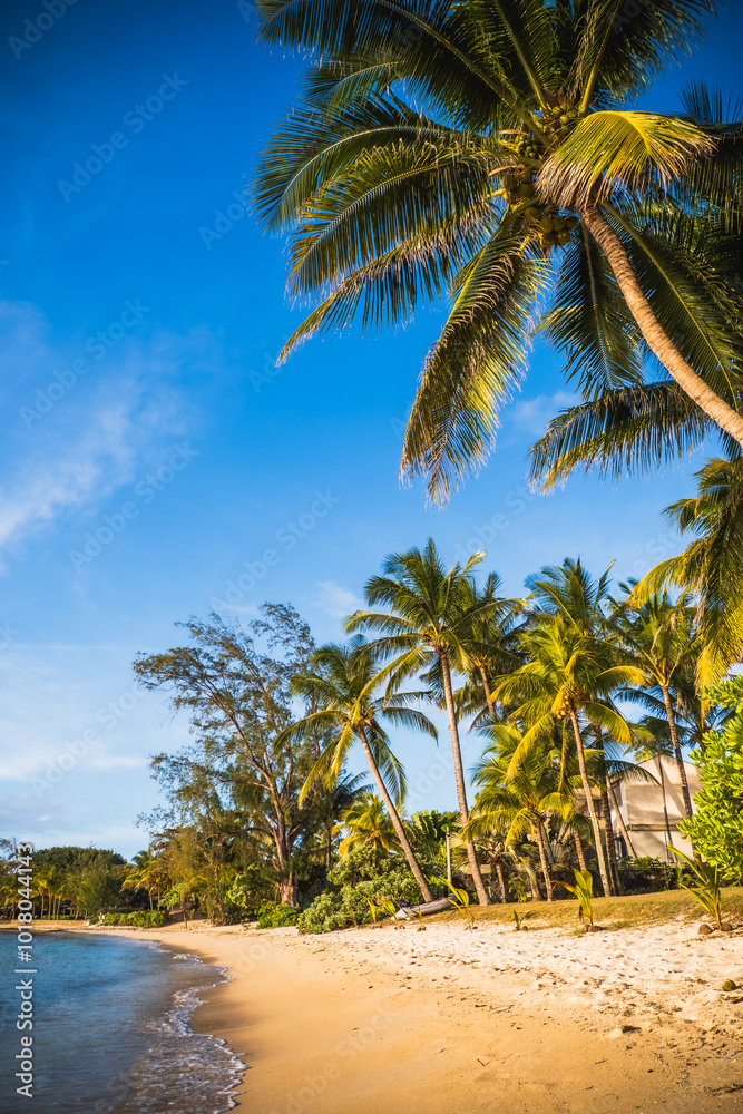 Beautiful view of the stunning tropical beach at Grand Baie, Mauritius, with fine sand and lined with coconut trees at sunset during the golden hour Beautiful view of the stunning tropical beach at Grand Baie, Mauritius, with fine sand and lined with coconut trees at sunset during the golden hour