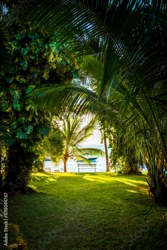 Beautiful view of an exotic tropical garden with lush foliage by the sea, Grand Baie, Mauritius