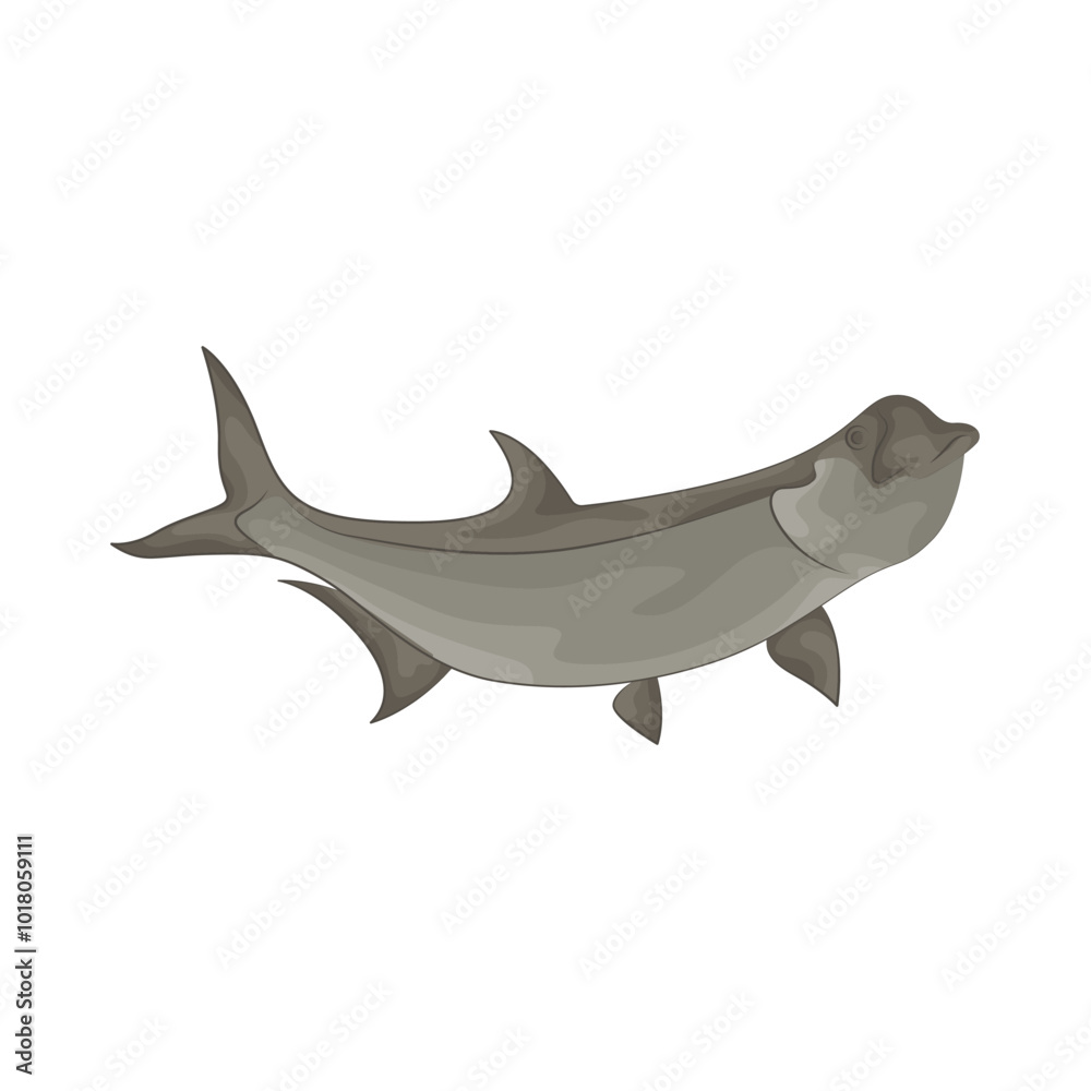 Illustration of fish Illustration of fish