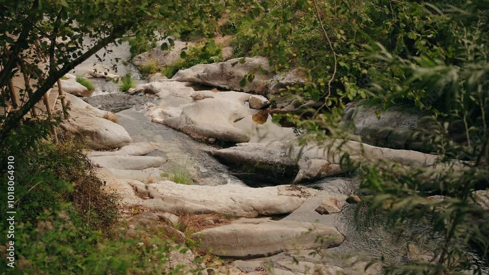 peaceful river stream flowing between smooth, weathered rocks and framed by lush greener peaceful river stream flowing between smooth, weathered rocks and framed by lush greener