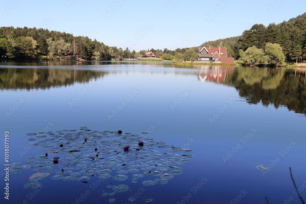 Obraz premium Villa by the lake. Golcuk - Bolu, Turkey