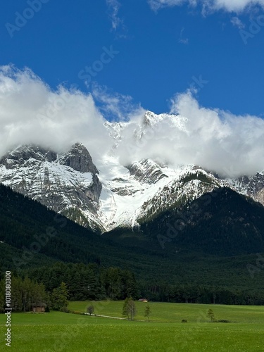 alpine meadow in the mountains