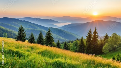Tranquil sunrise green mountain valley