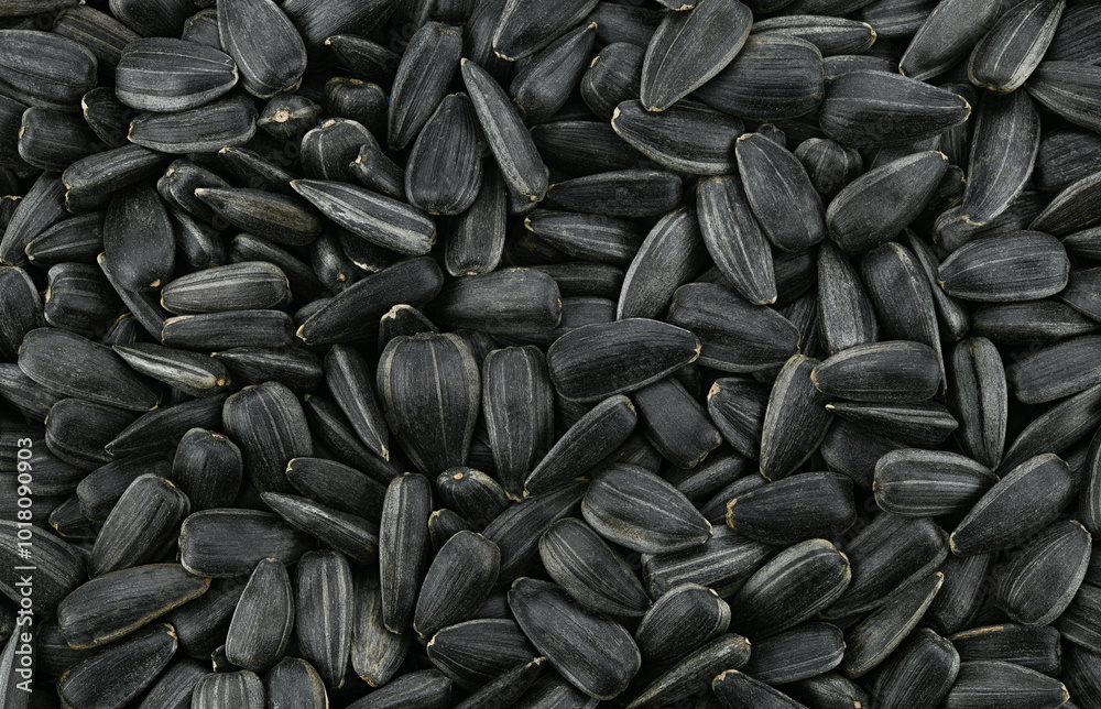 Background of sunflower seeds. Top view. Completely in focus. Background of sunflower seeds. Top view. Completely in focus.