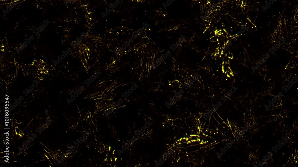 Animation loop messy gold line particles on black abstract background Animation loop messy gold line particles on black abstract background