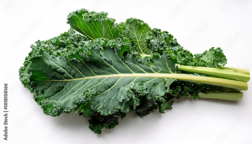 kale, isolated on a clean white background kale, isolated on a clean white background