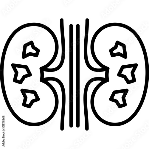 Kidney Stones Icon