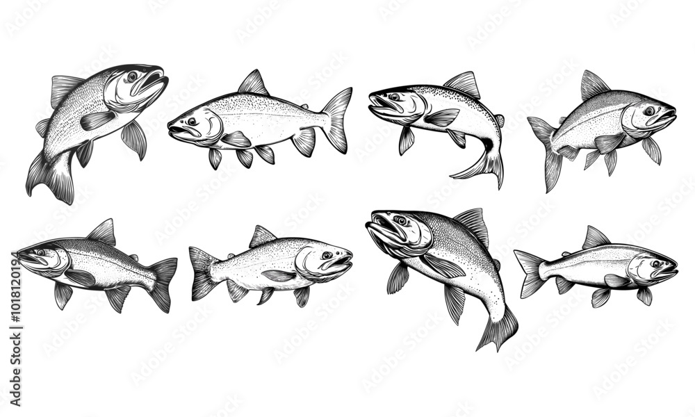 Fototapeta premium Set sardine fish icon logo design vector illustration