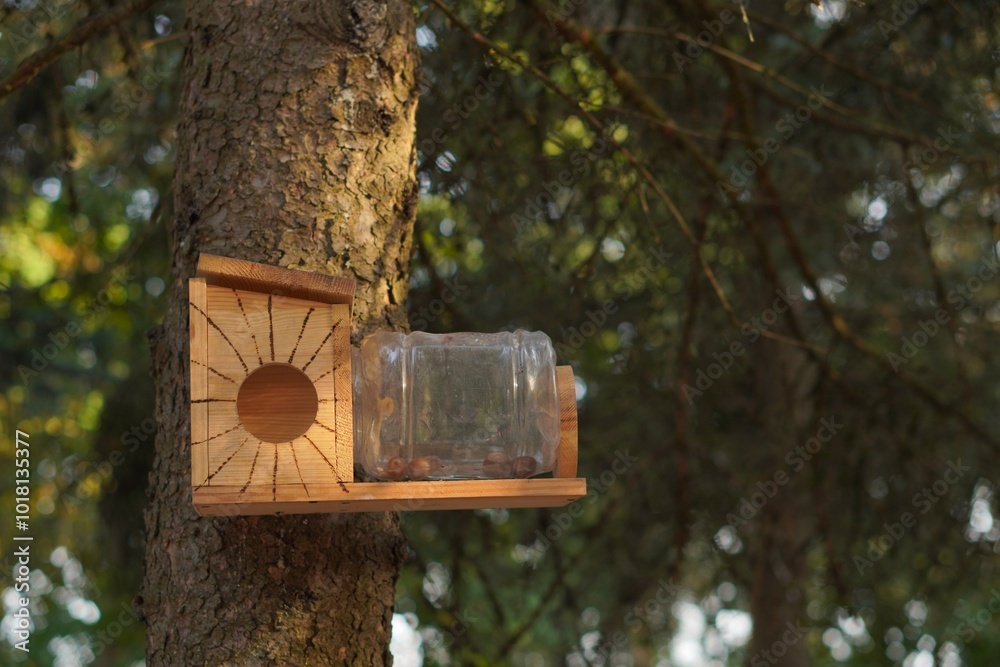 An old spruce tree with a bird feeder made of wooden natural materials and a plastic bottle. The concept of caring for forest dwellers and the second life of things An old spruce tree with a bird feeder made of wooden natural materials and a plastic bottle. The concept of caring for forest dwellers and the second life of things