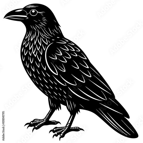 common raven