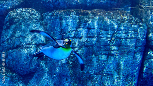 Yokohama Hakkeijima Sea Paradise Aqua Museum