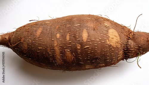 Raw cassava, isolated on a clean white background