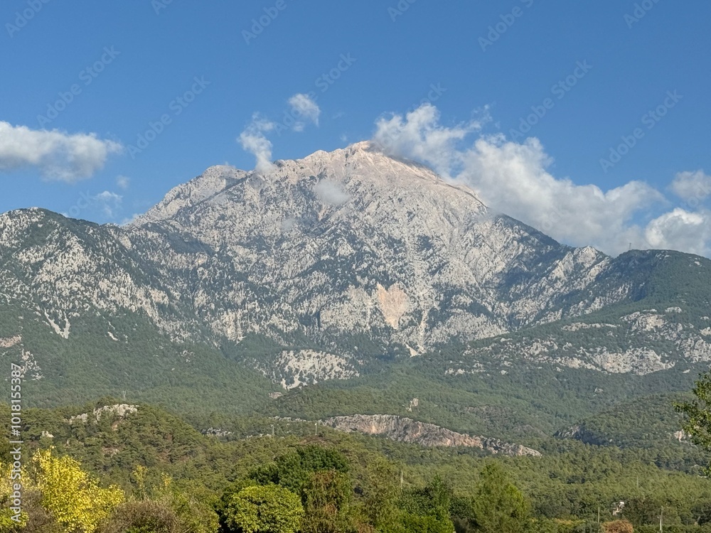 Obraz premium landscape with mountains