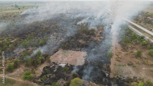 Wallpaper Mural Drone footage aerial view scenic landscape of a forest fire is burning alongside a busy highway. There was a huge cloud of smoke rising. Natural disasters in the dry season  Torontodigital.ca