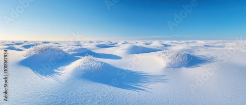 Snow-covered dunes under bright blue sky creating a serene winter landscape