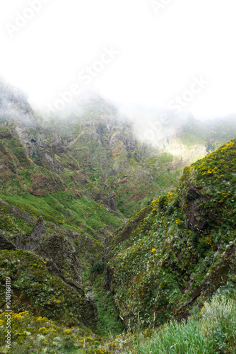 Madeira isola del portogallo