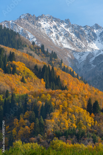 Trees with autumn foliage on the slopes of the Zailiyskiy Alatau mountains in Kazakhstan