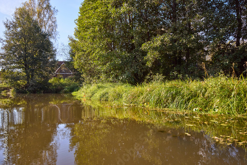 Serene Riverbank Scene with Lush Greenery