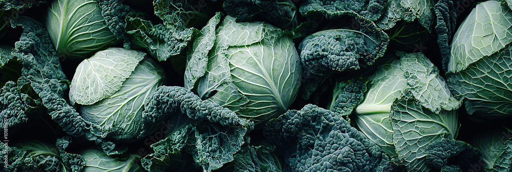 Obraz premium close up of Chinese Cabbages, full frame, food advertising