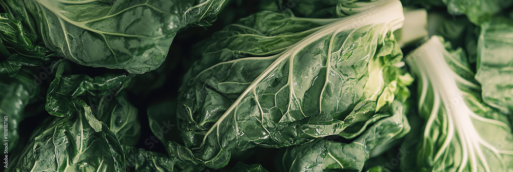 Obraz premium close up of Chinese Cabbages, full frame, food advertising