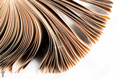 Fragment of an open antique book with bruised pages emerging from the top left corner. Each sheet folded inwards