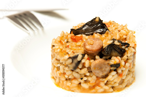 Side view of rice plate with assorted mushrooms with fork in the background plate and white background