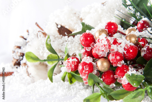 Christmas postcard landscape. Red and gold decorations with green vegetation, ice and snow