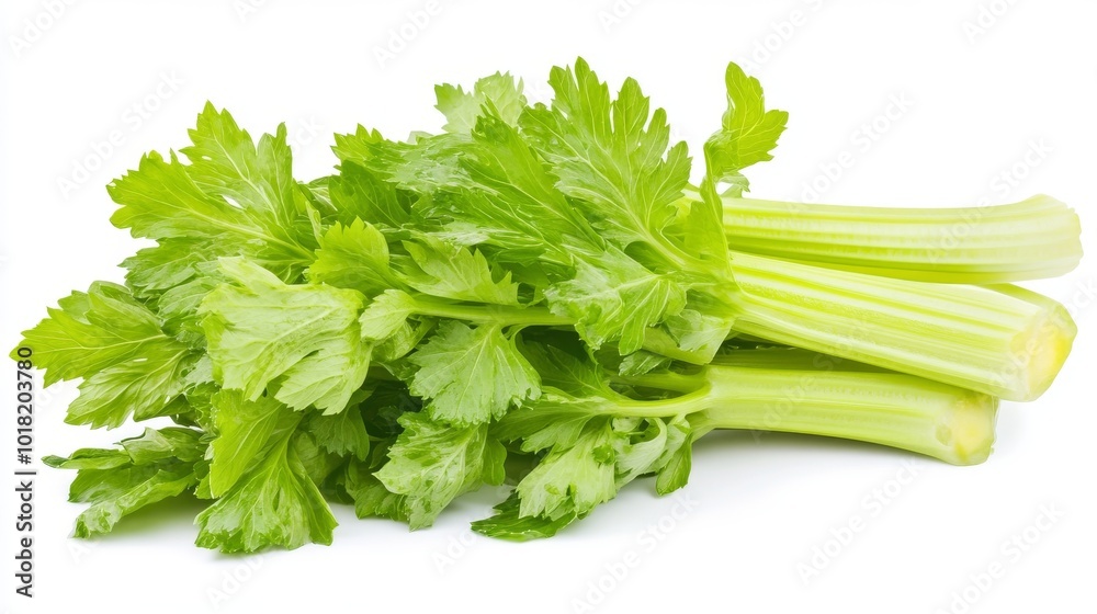 Celery stalks arranged on a white background, suitable for food photography or illustration