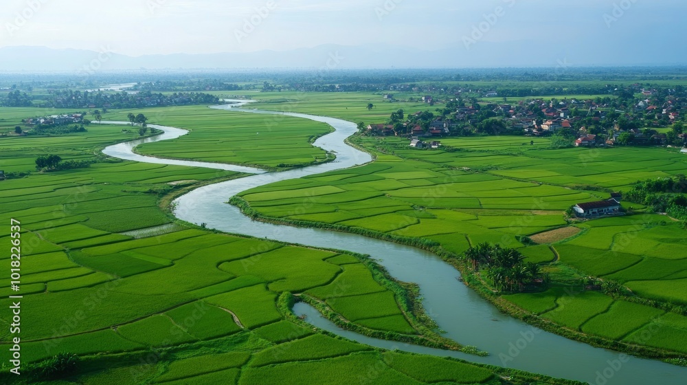 Aerial view of sprawling rice paddies, with winding irrigation channels cutting through the fields. Aerial view of sprawling rice paddies, with winding irrigation channels cutting through the fields.